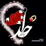 @SaeedMalikpur