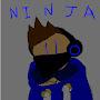 ninja _legendswag