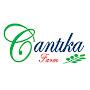 Cantika Farm