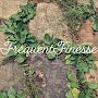 @frequentfinesse8904