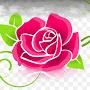 @gunwantsamastipur1750