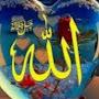 @nabilasaad6500