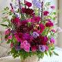 @sakeenasyed1638
