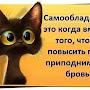 @osmotrhik