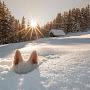 @МираБелла-л7н