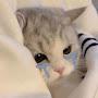 @Its_Jihaan2