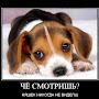 @АндрейБуров-щ2б