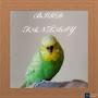 @birdfantasygeo