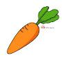 @ilycarrot7261