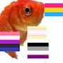 @Timthetinygoldfish
