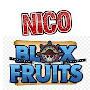 @nicobloxx