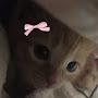 @InSaiki.kBasement