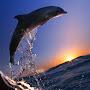 @vladimirnazarenko9736