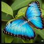 @abdullahaljaber-w9l