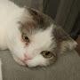 @serjlimov9876