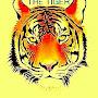 @thetigerofficial3606