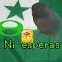 @Esperantistoelisraelo