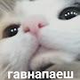 @pozitiff9842