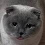 @Tezcatzontecatl