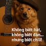 @acouticscover