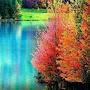 @urmilaborgharkar4538