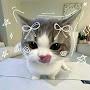 @FANATKA_EDA20