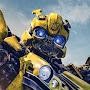 @bumblebee_B-127