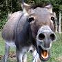 @ChrisfromKeyfarm