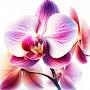 @korinemlbernard3256