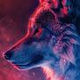 @Shadox_First