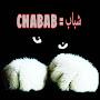 @chabab8547