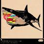 @Lovely-Shark
