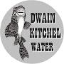 @dwainkitchel1316