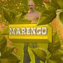 Marengo