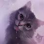 @starcat4346