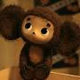 @tepliy_cheburashka