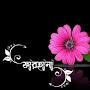 @massummaruf3003