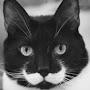 @reversemoustachecat8127