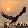 @lost_in_goa