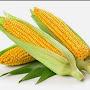 @aqwaticcorn9560