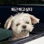 @박이슬-l6v