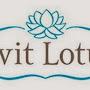 @hvitlotus712