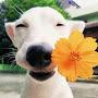 @นานาจร้าาาา