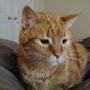 @FritzTheCat_1030