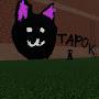 @TAPOK12343