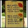 @송기한-i4c