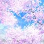 @sukifeng0312