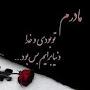 @javad-nv4re