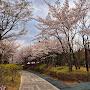 @유상우-k7h