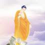 @avalokitesvara450
